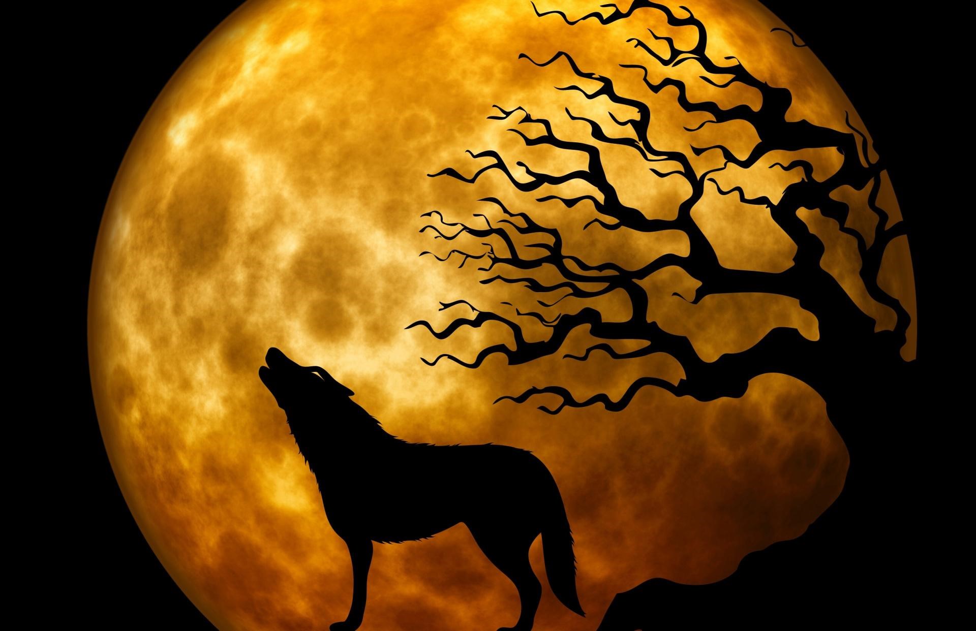 Er du god til at bluffe? Kom og spil Ultimate Werewolf med os