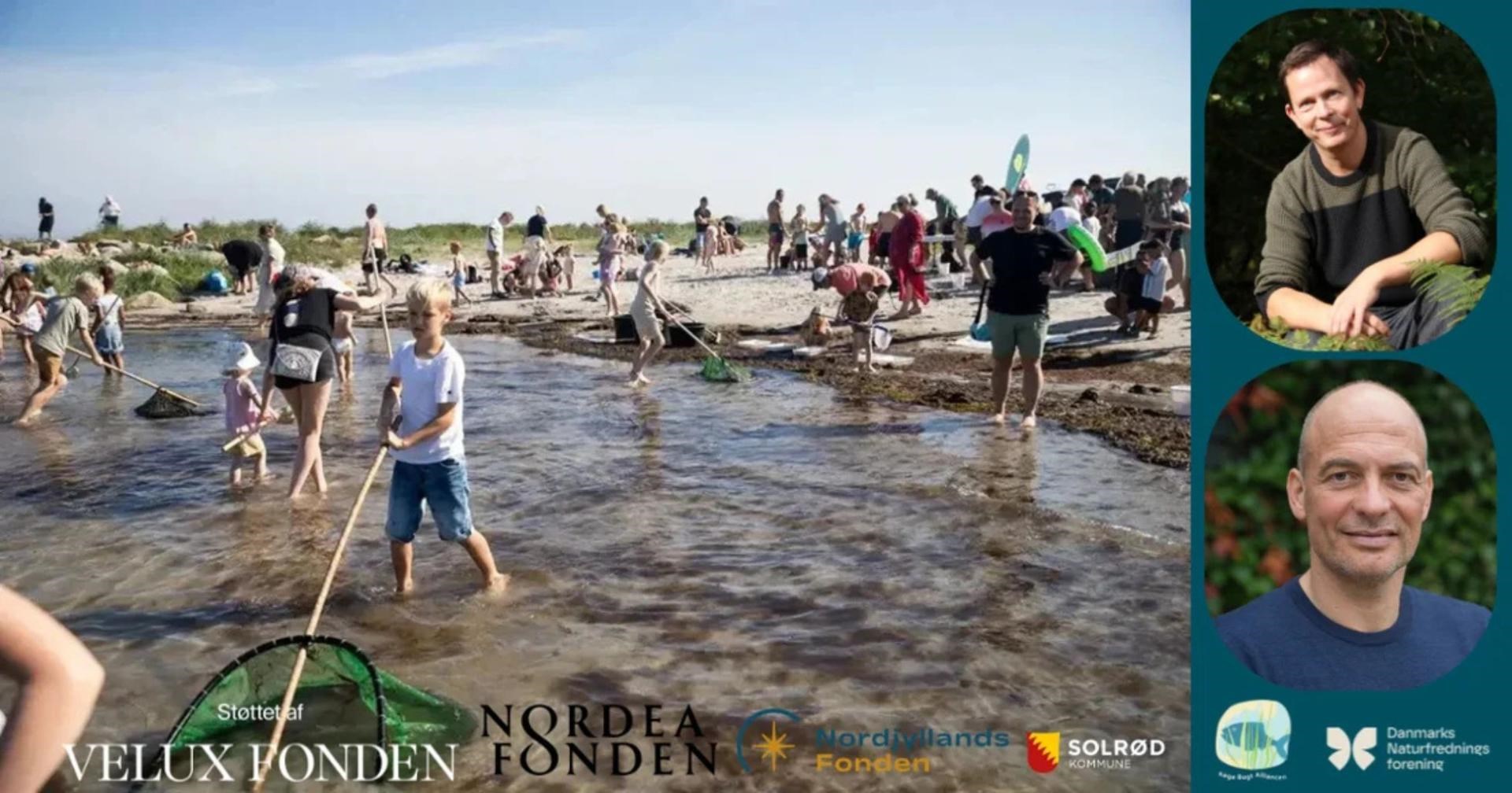 Havets Folkemøde 2026 - En folkefest i vandkanten for hele familien