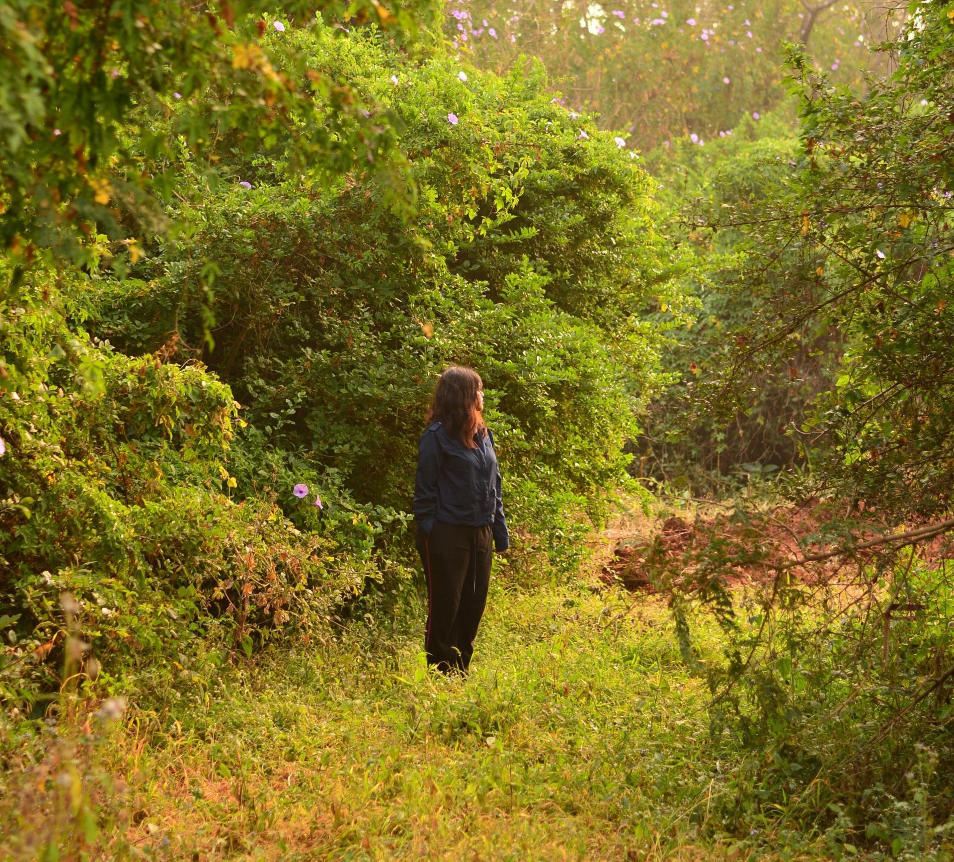 Udsolgt // Naturens sprog: Skovbad