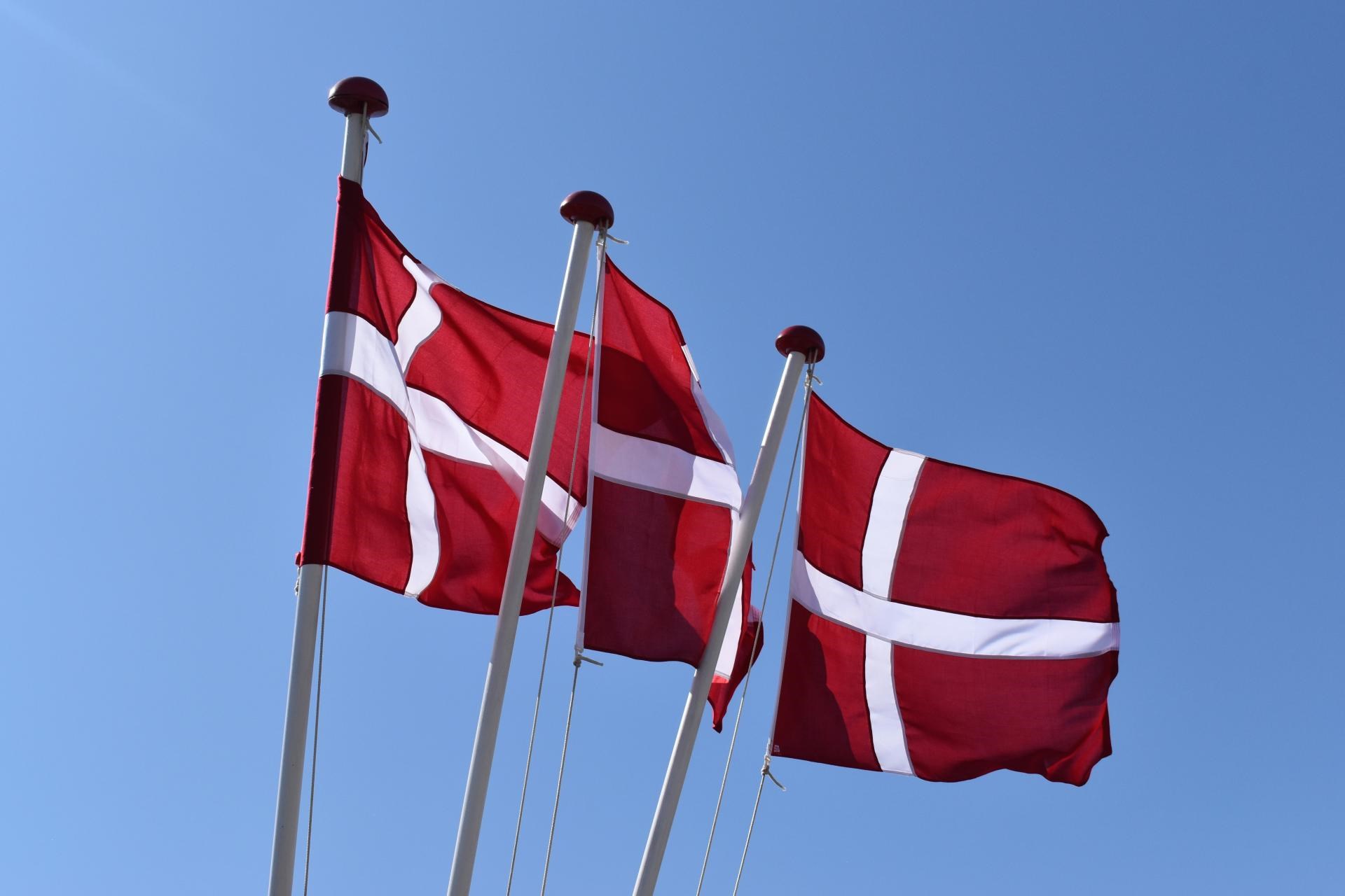 Flagdag: Veteran-caféen og Lejre Kommune fejrer sammen
