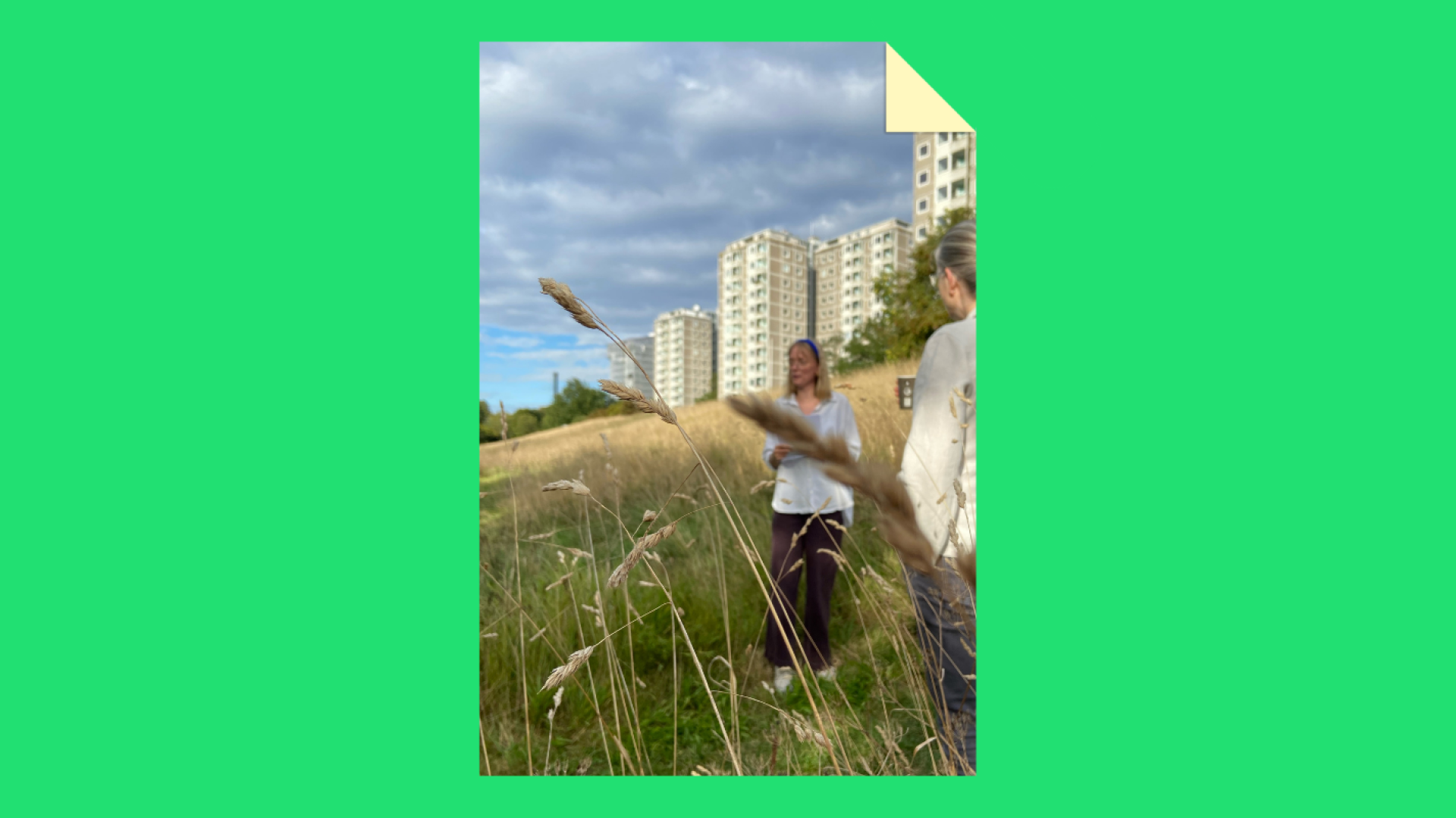 Litterær gåtur - Sensommer litteratur