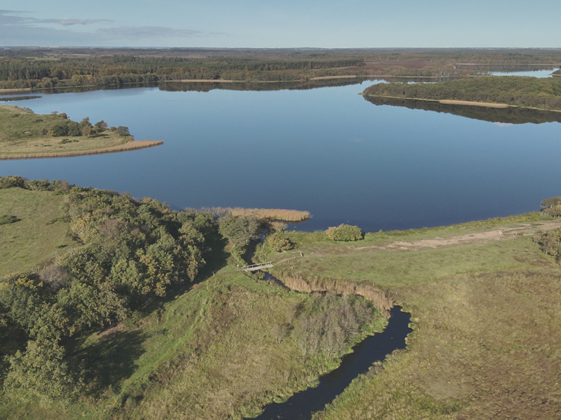 Det meningsfulde liv i naturen