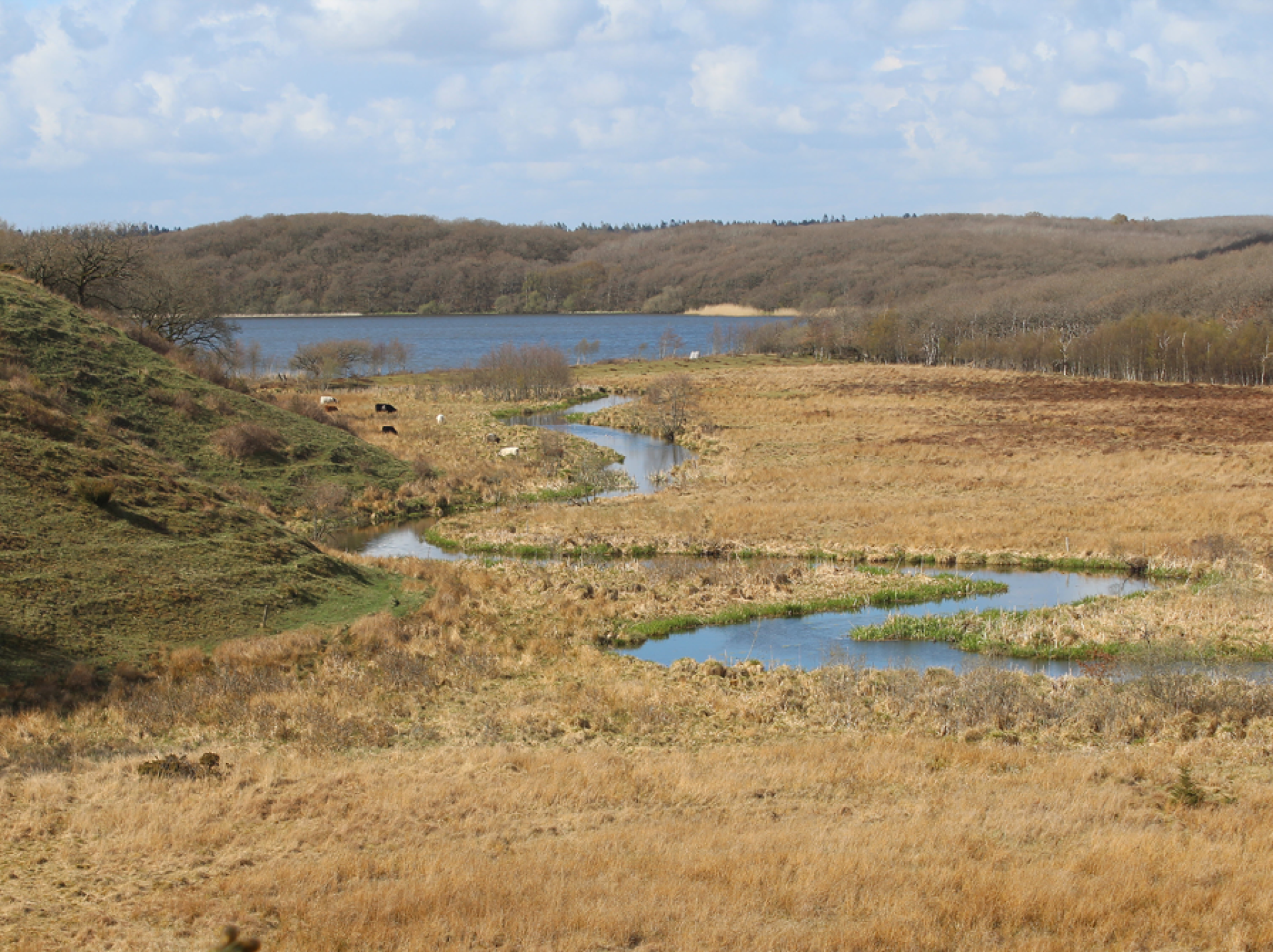 Natur- og sangvandring ved Flyndersø