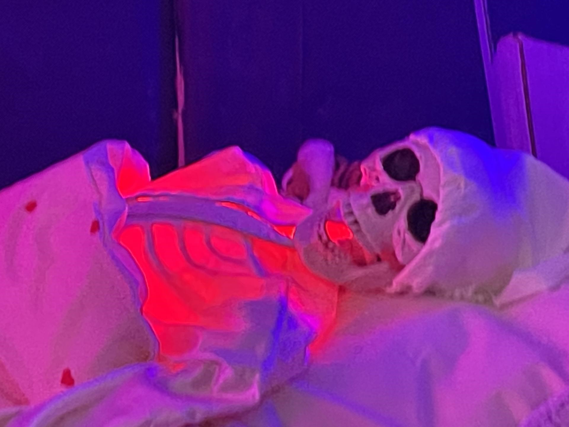 Uuuuhhh - kom til halloween i egedal centret og stenløse kulturhus