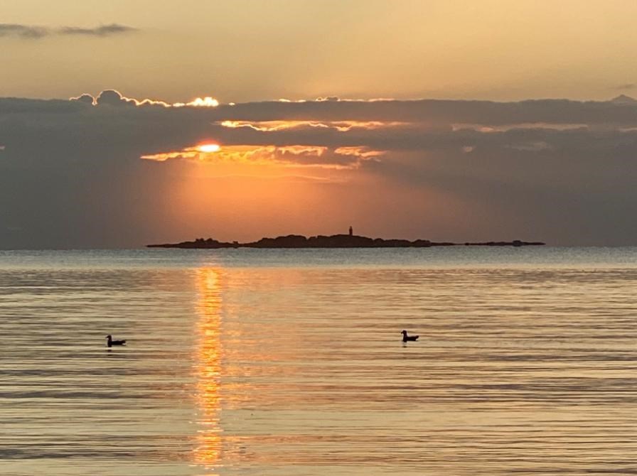 Morgensang Frederikshavn