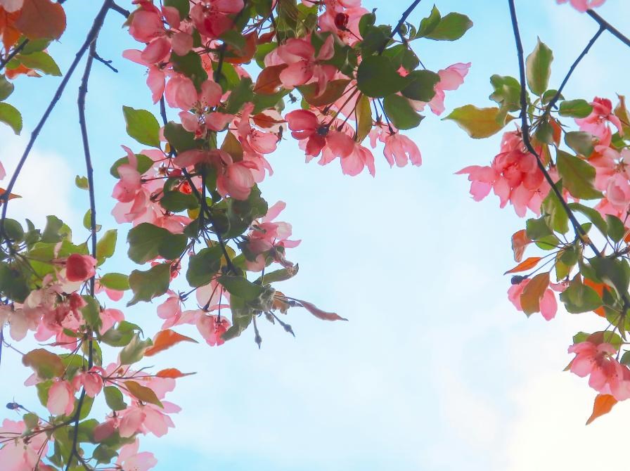 Guidet fælleslæsning