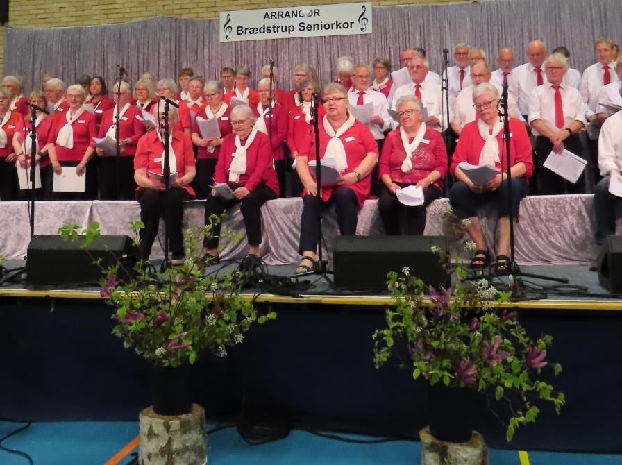 Julearrangement på Brædstrup Bibliotek med seniorkorene
