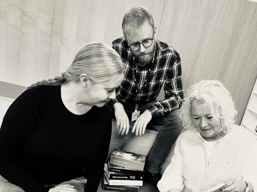 Bibliotekaren anbefaler