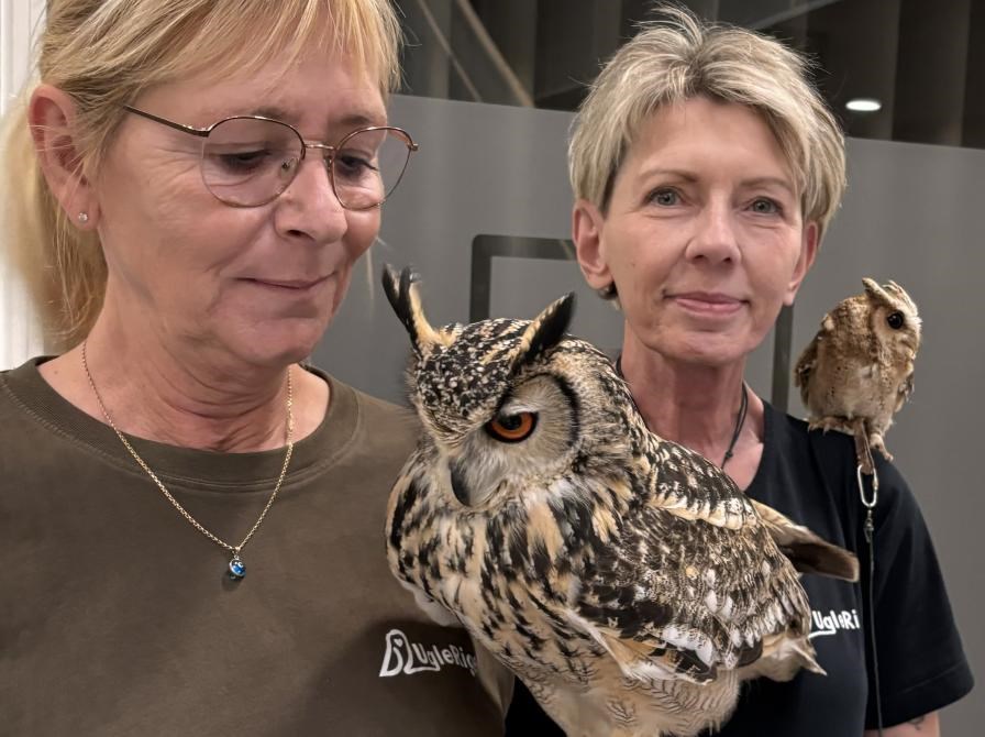 Udsolgt // UgleRiget besøger Taastrup Bibliotek