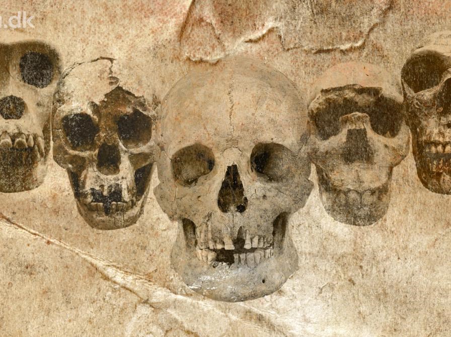 DNA og fossiler udvider vores stamtræ (via livestream fra Aarhus Universitet)