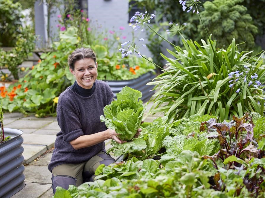 Dyrk grøntsager året rundt