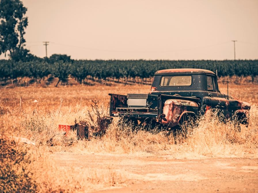 Bog & film i Kosmorama - om John Irving