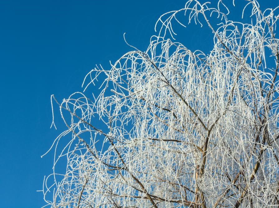 Fællessang med vintersange på Industrien i Aarup (26. januar)