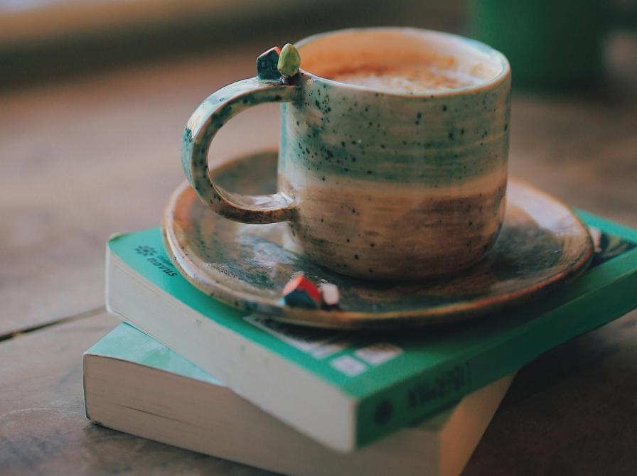 Udsolgt: Omvendt bogklub: Dy Plambeck