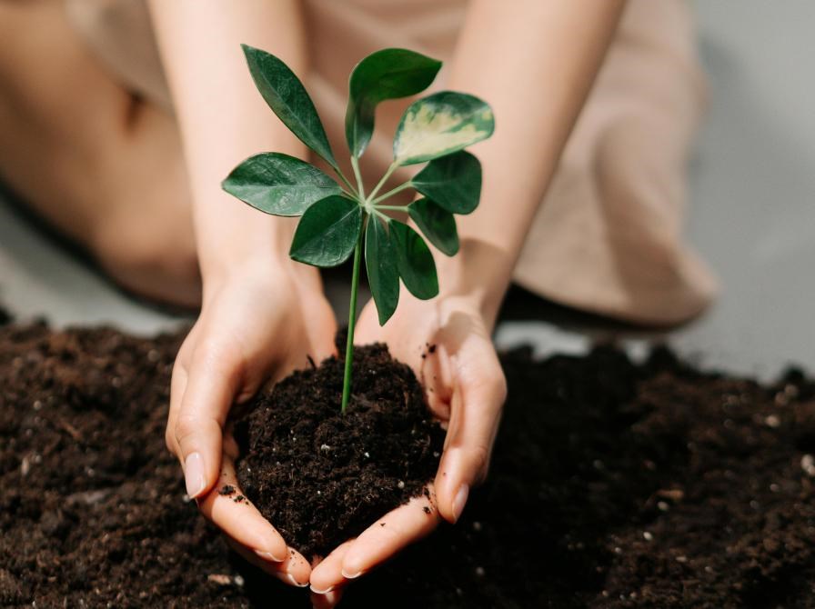 Åbning af Frøbiblioteket på Brædstrup Bibliotek