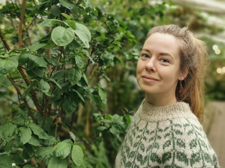 Permakultur som redskab