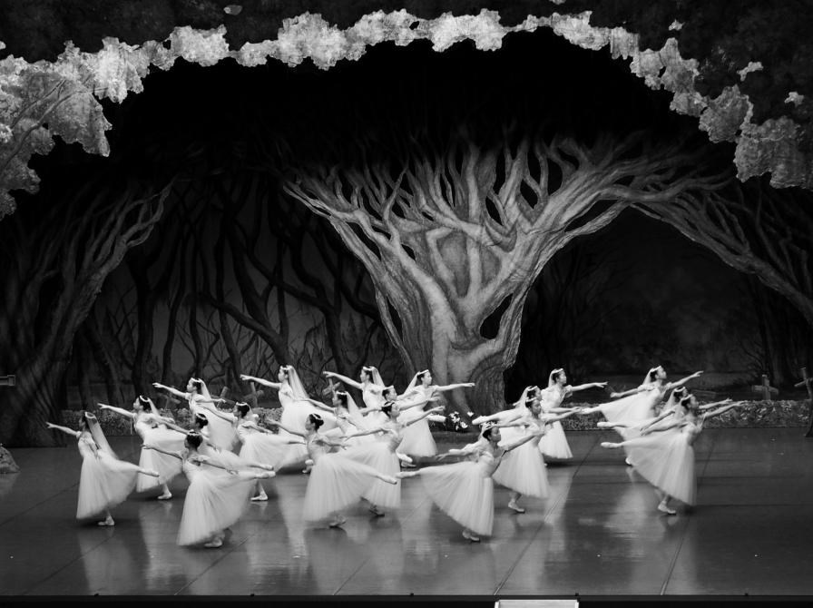 Foredrag: Vibeke Wern - Ballettens forunderlige verden