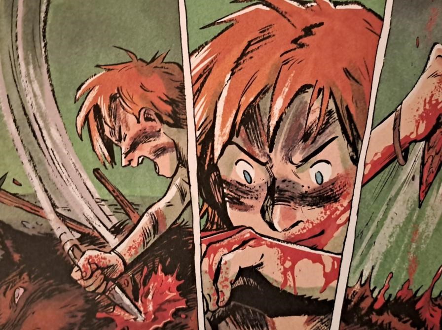 Bogcafé: Serier, med og uden illustrationer