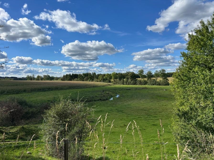 Byd naturen ind i hverdagslivet