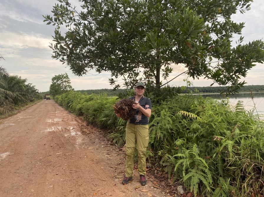 Naturbevarelse i alle verdenshjørner