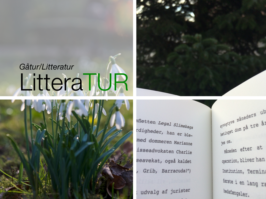 LitteraTUR - En dejlig gåtur med højtlæsning!