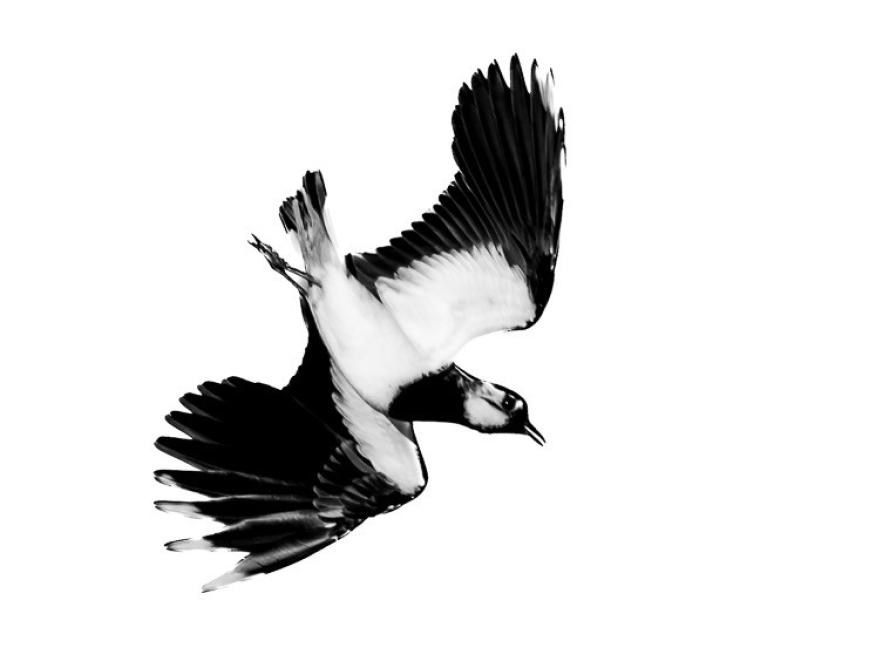 Fernisering i Galleriet i Midten - Herlev Fotoklub