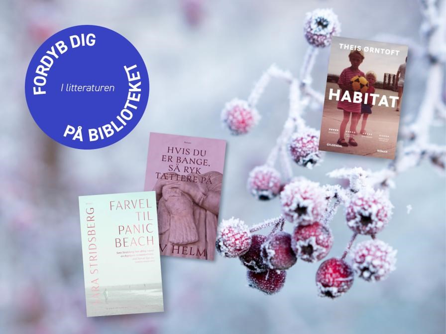 Vinterens bedste bøger: Trends & tidsånd i den nye litteratur