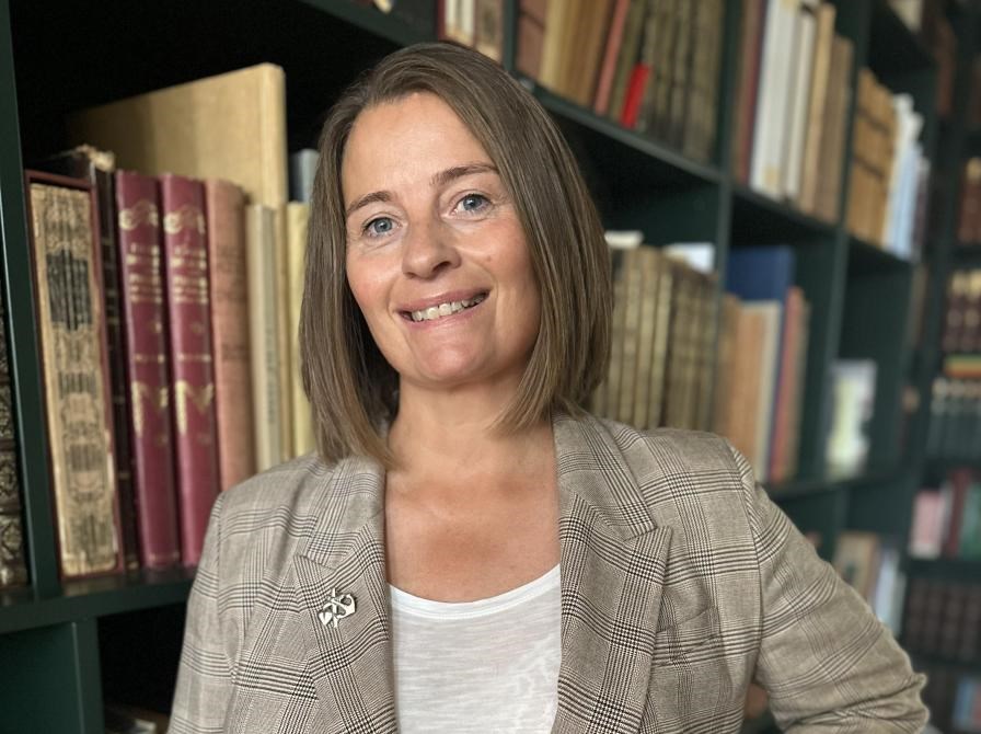 Guldalderens Holbæk