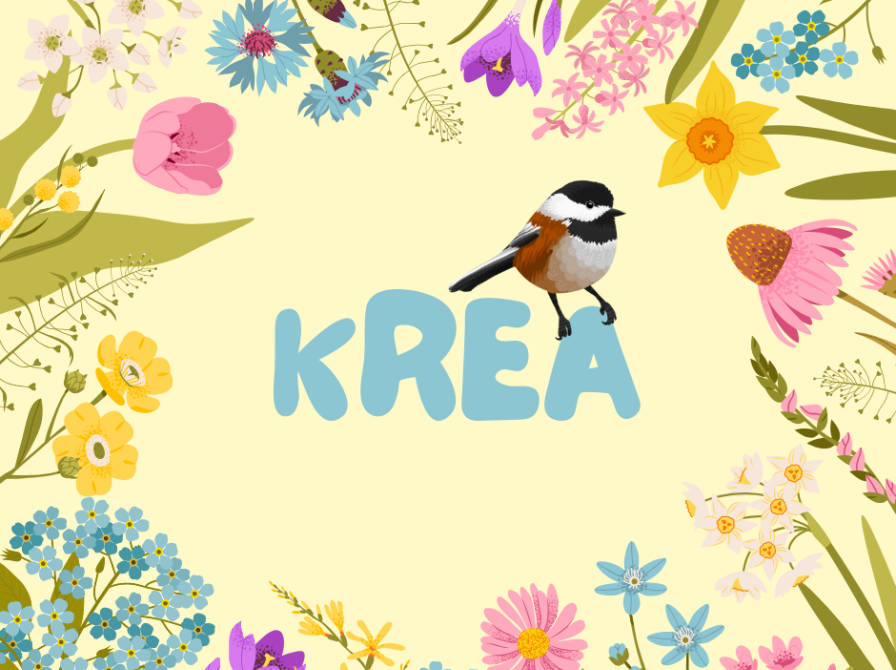 Ved kreabordet: Fugle-croquis