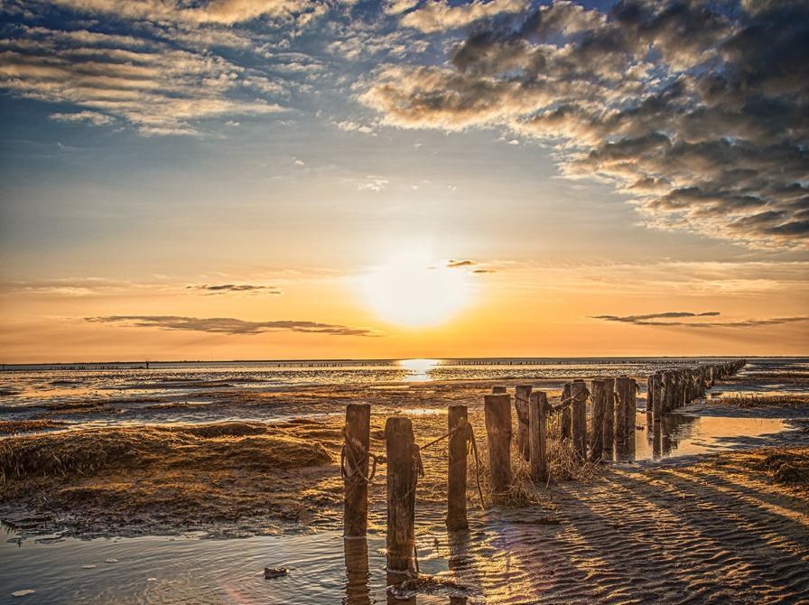 Fernisering af fotoudstilling fra Senior Erhverv Sønderjylland