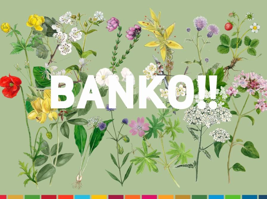 Plantebanko