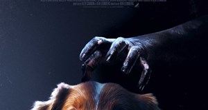 Good boy