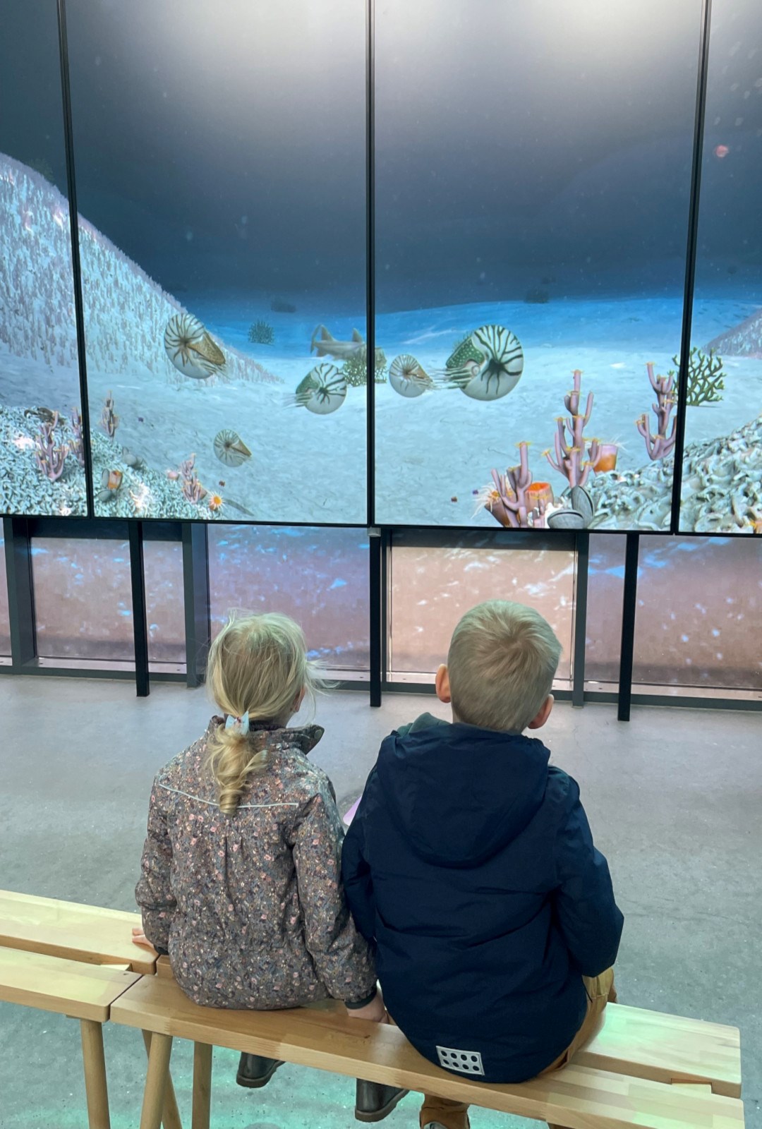 Udstilling Geomuseum Faxe