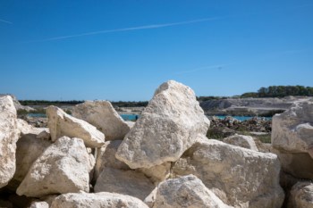Guided fossil hunt