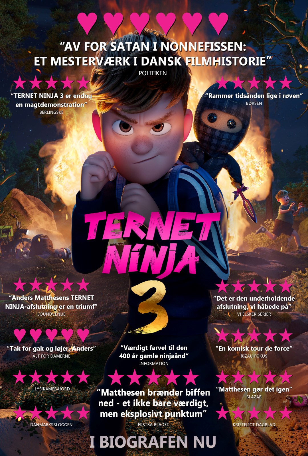 Ternet ninja 3