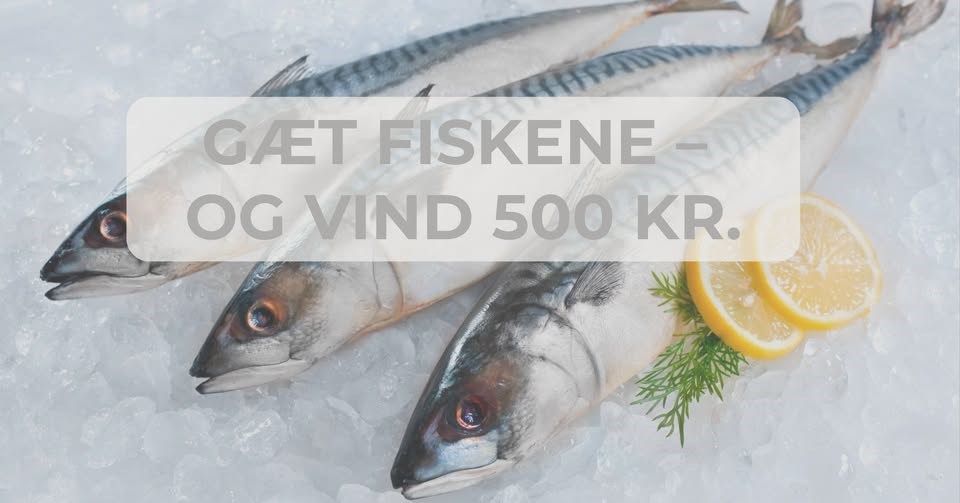 Kan du gætte de 6 FISK