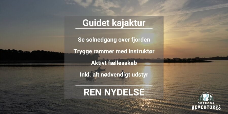 Guidet kajaktur - Roskilde