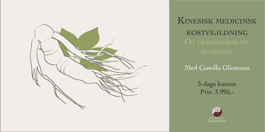 3 dages kursus: Kinesisk medicinsk kostvejledning og urtemedicin til husbehov