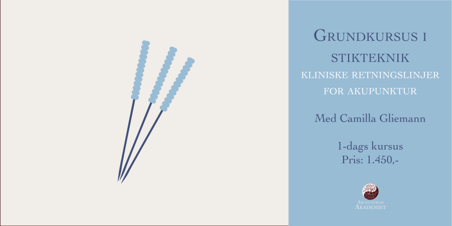 Grundkursus i stikteknik - kliniske retningslinjer for akupunktur