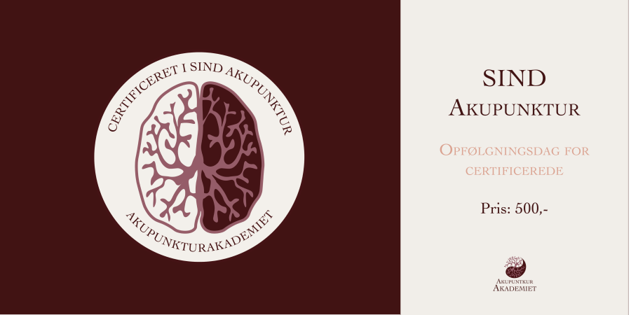 Opfølgningsdag for certificerede i SIND Akupunktur