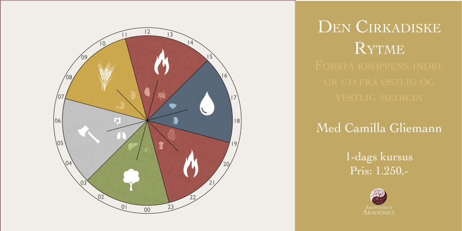 Organuret - Østlig og Vestlig Medicinsk forståelse af døgnrytmen