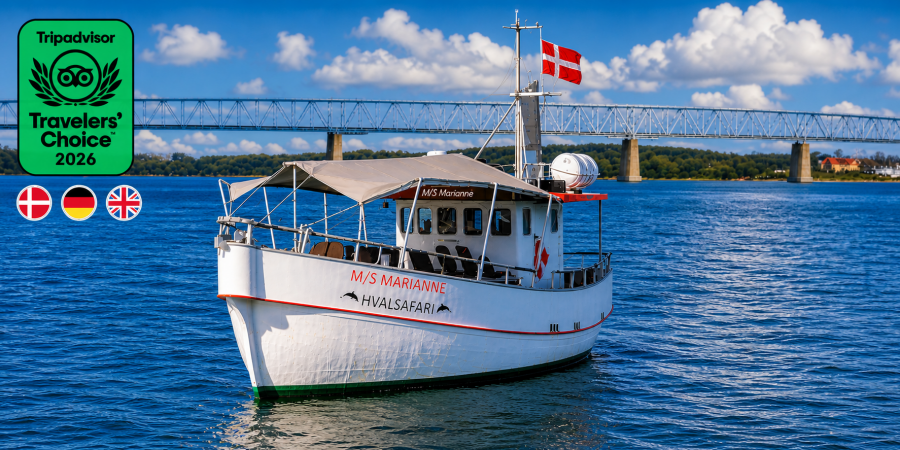 Hvalsafari M/S Marianne Middelfart