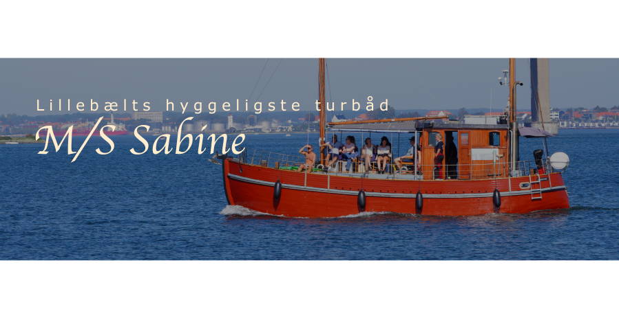 Hvalsafari på Lillebælt med M/S Sabine afgang fra Middelfart