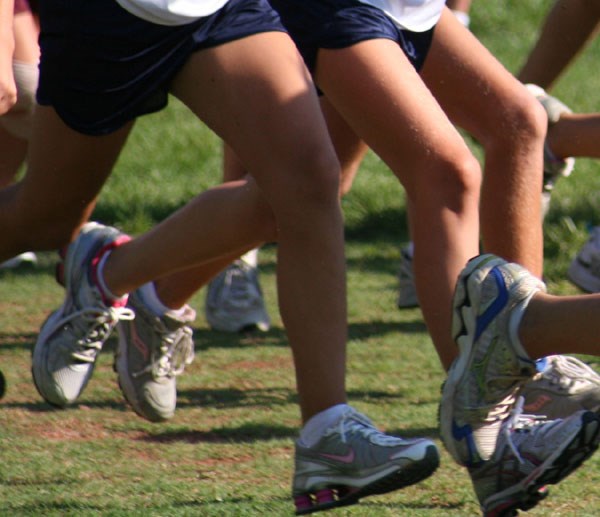 Sydbank Walk & Run 2024