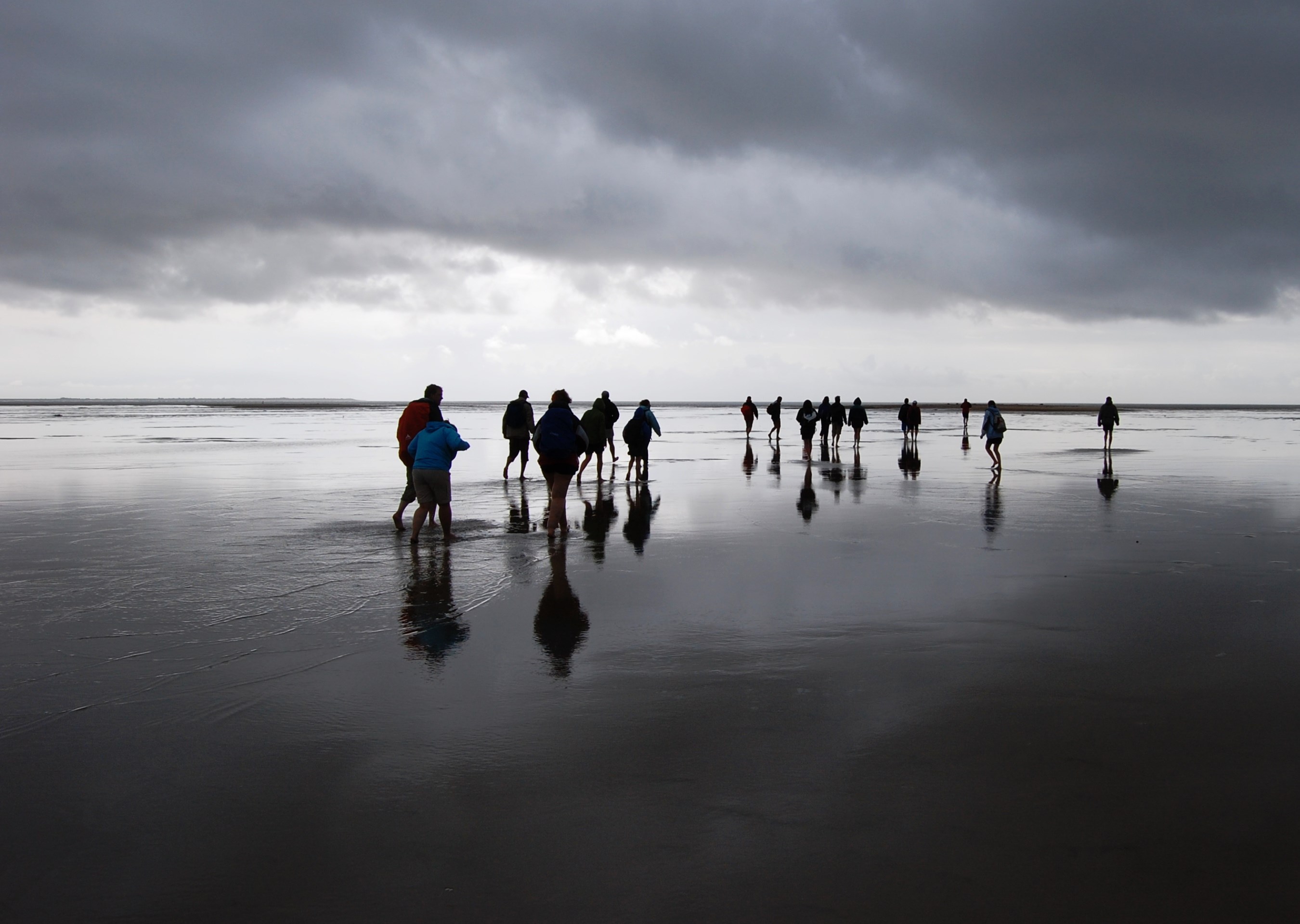 Plantebyttemarked i Gribskov