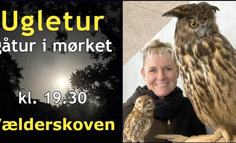 På tur med nattens fugle og mørkest lyde