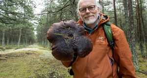Svampetur i efterårsferien