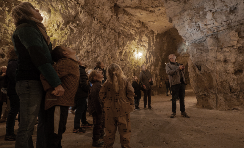 Flagermustur i Thingbæk Kalkminer