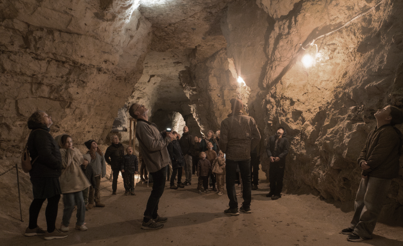 Flagermustur i Thingbæk Kalkminer