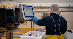 Omvisning Skagen Salmon